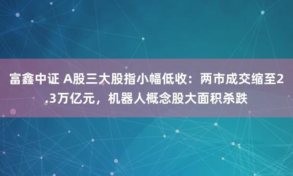富鑫中证 A股三大股指小幅低收：两市成交缩至2.3万亿元，机器人概念股大面积杀跌