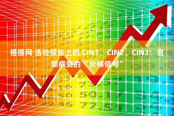搭搭网 活检报告上的 CIN1、CIN2、CIN3：宫颈病变的 “阶梯信号”
