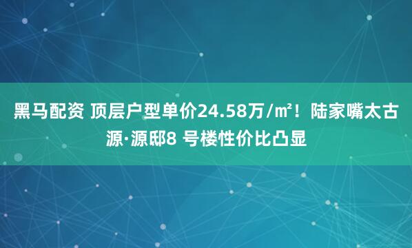 黑马配资 顶层户型单价24.58万/㎡！陆家嘴太古源·源邸8 号楼性价比凸显