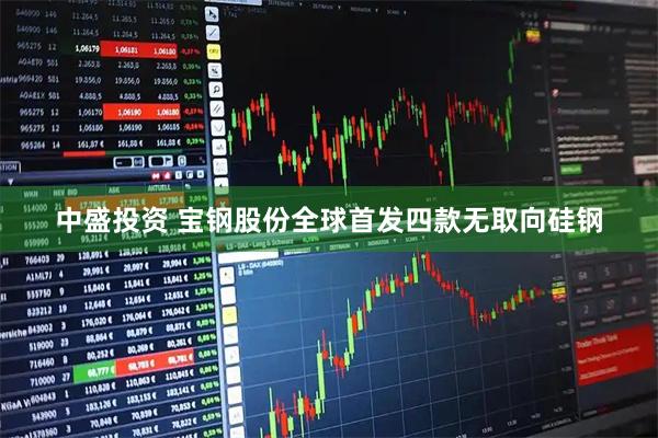 中盛投资 宝钢股份全球首发四款无取向硅钢