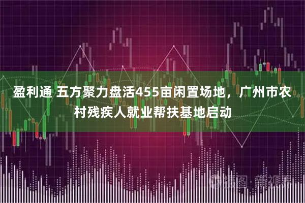 盈利通 五方聚力盘活455亩闲置场地，广州市农村残疾人就业帮扶基地启动