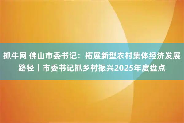 抓牛网 佛山市委书记：拓展新型农村集体经济发展路径丨市委书记抓乡村振兴2025年度盘点